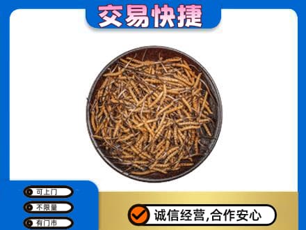 钦州市钦南高价回收散虫草